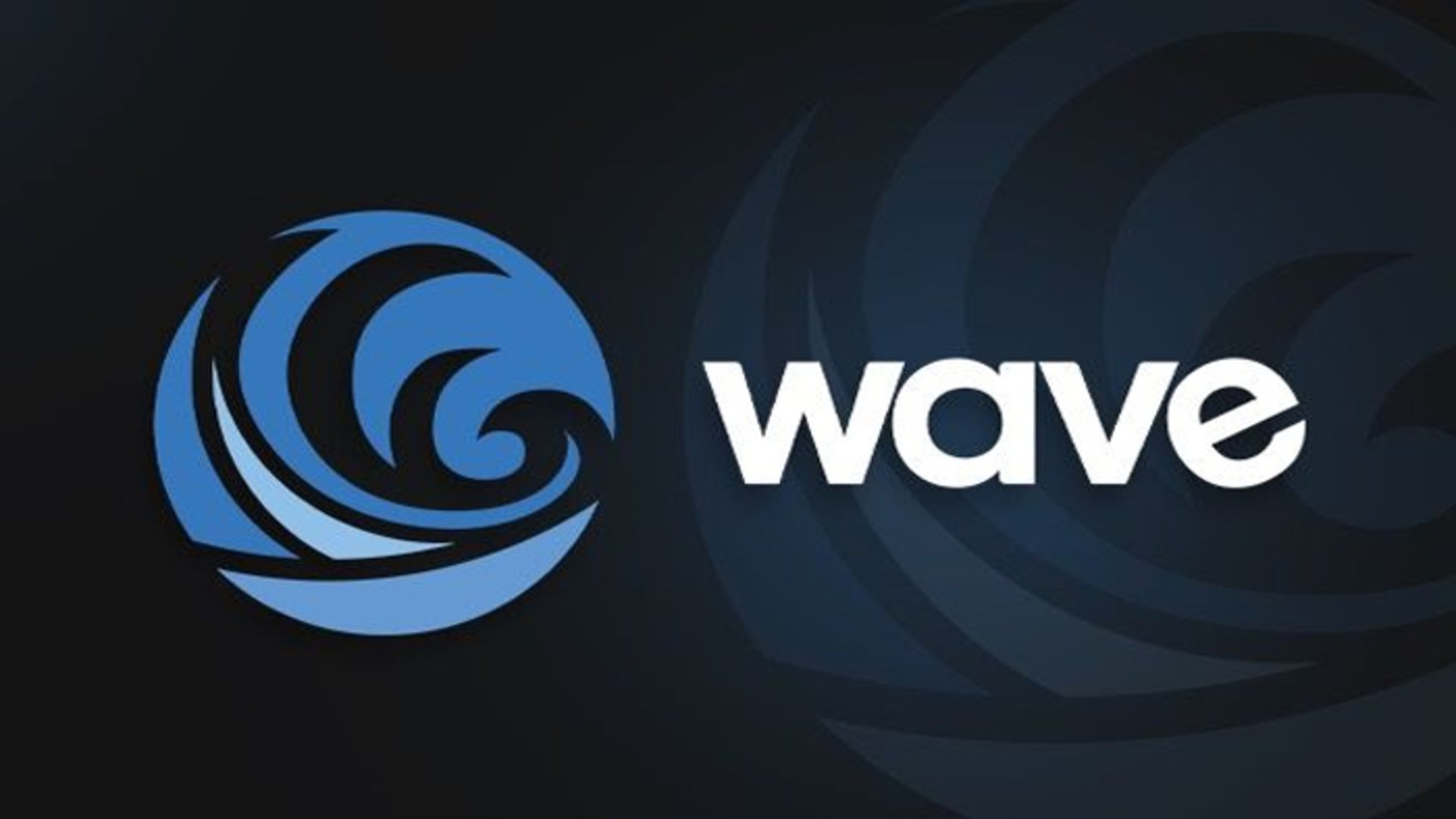 Wave Executor Windows / MAC